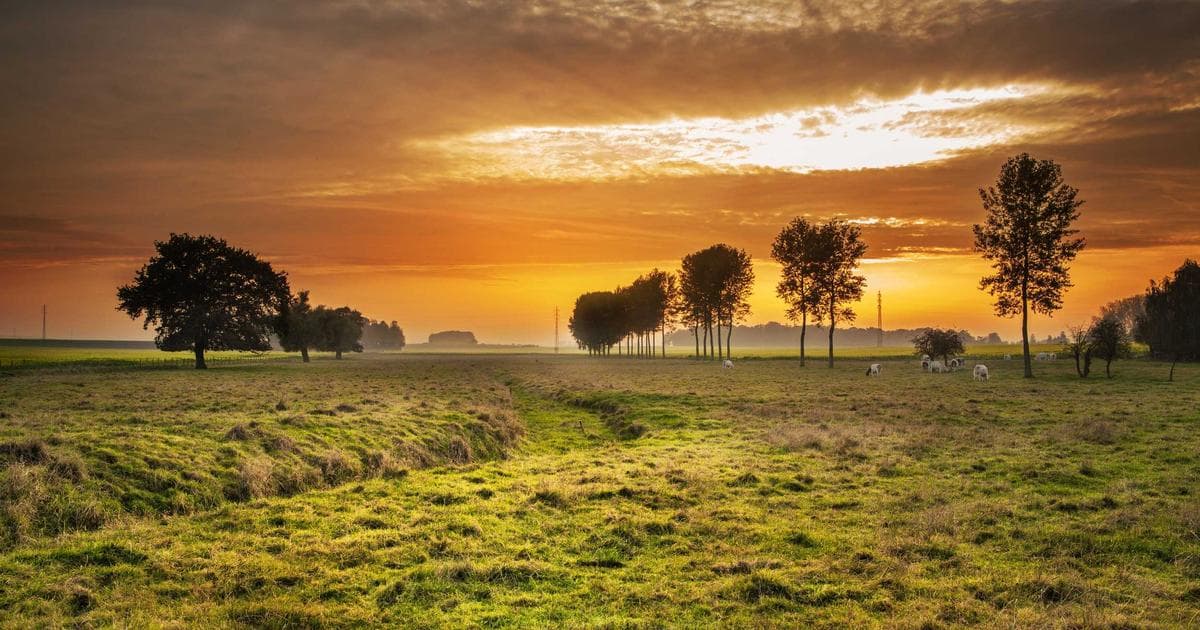 The Missed Call Fiasco: A £1.3m Accounting Oversight